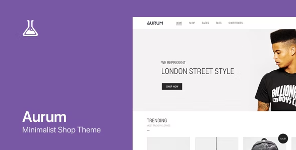 aurum woocommerce premium theme