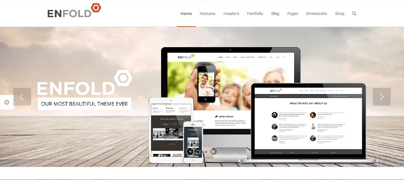 enfold wordpress theme