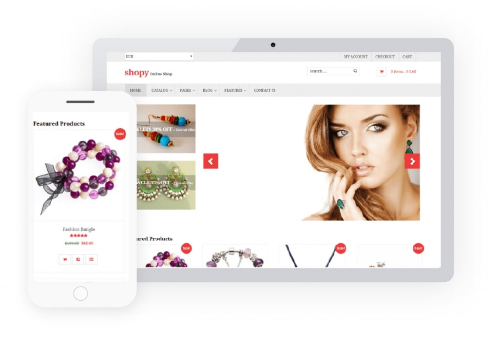 overview of shopy theme
