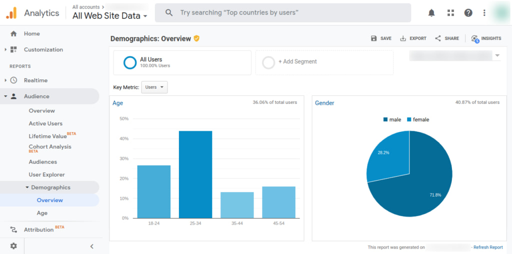 demographics page of google analytics