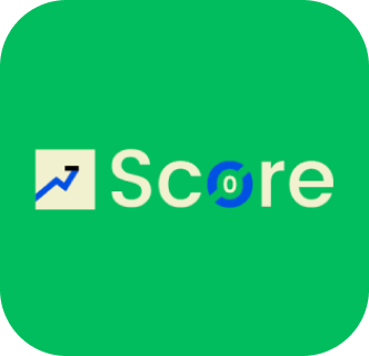 icon of score wordpress theme