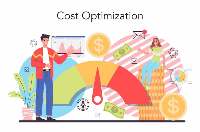 cost optimization of ecommerce websites